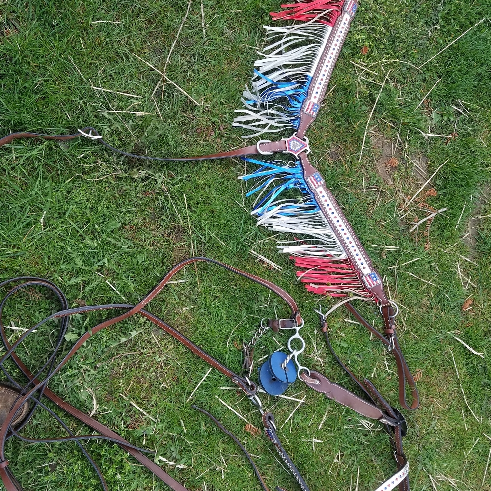 NEW-Showman tack set